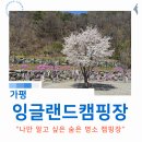 잉글랜드캠핑장