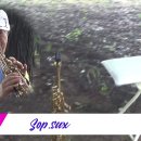 이정옥.숨어우는 바람소리.최병춘.Sop.sax 이미지