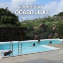 한경 | 제주 풀빌라 독채 8인숙소 추천하는 한경 오카소 후기