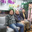 오탱큐천연머리염색