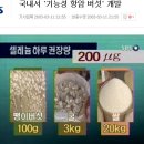 기능성머쉬 이미지