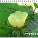 이색체험마을 이미지