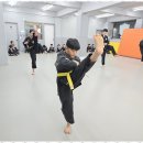 용인대 수 합기도 이미지