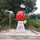 수곡면 딸기조형물 이미지