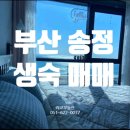 2022-00020 | 송정숙소 매매 송정호텔 블루캐슬 깔끔 생숙(생활형숙박시설)