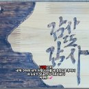 새벽가치