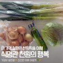 식명관 천원의 행복 후기:: 공식홈페이지,스토어팜 비교,배송시간