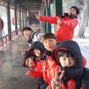 용인대 활기찬 태권도장 이미지