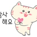 창일공인중개사사무소 이미지