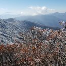 산 이미지