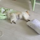 (주)버드로그 | 26-2. 이 열기가 밖인지 속인지 왔다갔다한 연휴의 맛