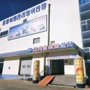 대게궁 | 영덕 축산항 대게궁 솔직 후기, 대게 제대로 즐길 수 있는 영덕 맛집