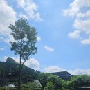 칠봉 송정 캠핑장 이미지