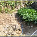 금산1구 이미지