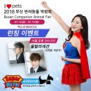 슈퍼마이펫 이미지