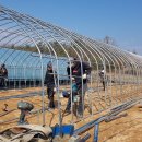 해동상운 이미지