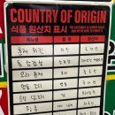 레트로지 이미지