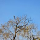 GS25경포호수점 이미지