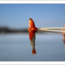 비상낚시터 이미지