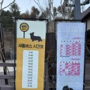 강아지숲 박물관 | 강아지들의 에버랜드? 춘천 강아지숲 직접 다녀온 솔직 후기 (feat. 코코 신남)