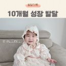 10개월 아기 발달 특징 정리 이유식 횟수 유아식 시작 걸음마 연습 언어