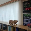 사봉산업단지 이미지