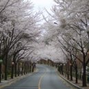 폭포골자연휴양림 | [대구여행/대구 볼거리] 대구산책, 대구12경