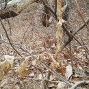 심심산골 이미지