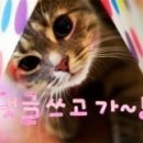 참