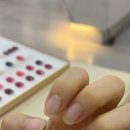 쥬디네일 이미지