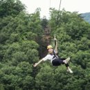 투데이목장 이미지