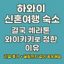 와이키키 | 하와이 신혼여행 숙소 추천 (쉐라톤 와이키키 후기 + 신혼여행 준비 꿀팁)