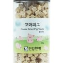 건강한 펫 이미지