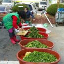 산남초교 이미지