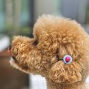 지킴메디 이미지