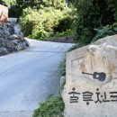 울릉천국 아트센터 이미지