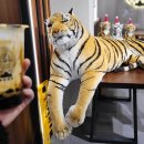 타이거슈가의정부