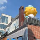 삼성건강원 이미지