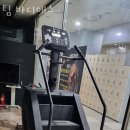 팀바디매스 이미지