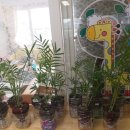 성읍초등학교 병설유치원 이미지