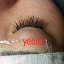 여시(yeosi) 이미지