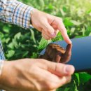 스마트팜의 미래 이미지