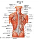약손(yakson)