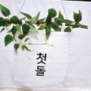 상 주민지원센터 | 용인시 육아종합지원센터 백일상 무료대여후기(삼가점)