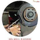 샬롬카센타 이미지