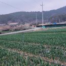 금산면사무소 이미지