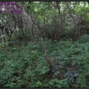 구산면583 이미지