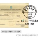 그린F.S 티스토리