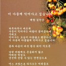 백향 이미지