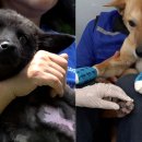 밀물농장 이미지